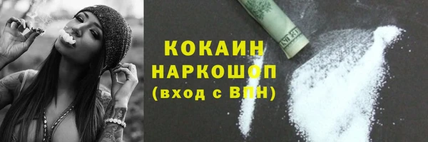 прущие грибы Аркадак