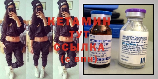 прущие грибы Аркадак