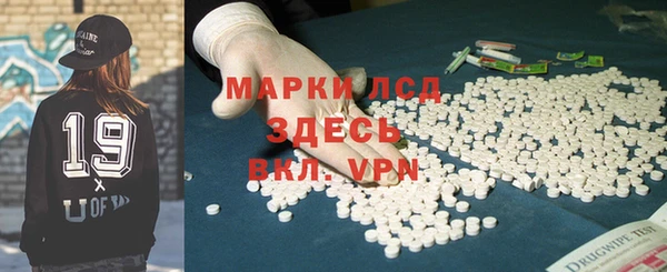 прущие грибы Аркадак